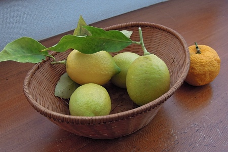 庭のレモン